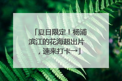 夏日限定！杨浦滨江的花海超出片，速来打卡→