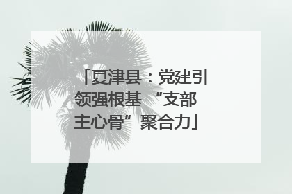夏津县：党建引领强根基 “支部主心骨”聚合力