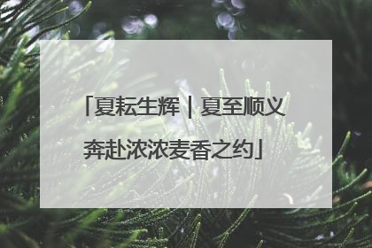 夏耘生辉｜夏至顺义奔赴浓浓麦香之约