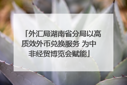 外汇局湖南省分局以高质效外币兑换服务 为中非经贸博览会赋能