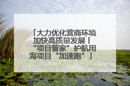 大力优化营商环境 加快高质量发展丨“项目管家”护航用海项目“加速跑”