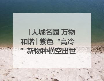 大城名园 万物和谐│紫色“高冷”新物种横空出世，皱褶叶片暗藏进化密码