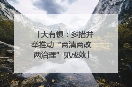 大有镇：多措并举推动“两清两改两治理”见成效