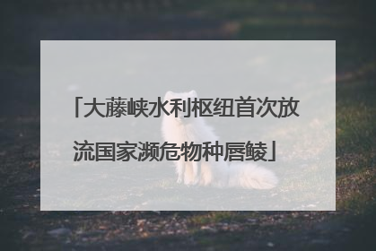 大藤峡水利枢纽首次放流国家濒危物种唇鲮