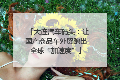 大连汽车码头：让国产商品车外贸跑出全球“加速度”