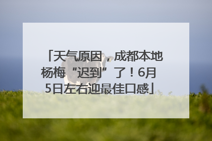 天气原因，成都本地杨梅“迟到”了！6月5日左右迎最佳口感
