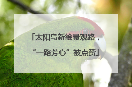 太阳岛新绘景观路，“一路芳心”被点赞