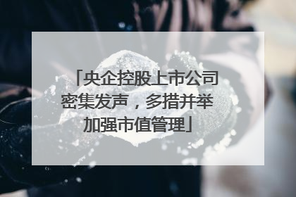 央企控股上市公司密集发声，多措并举加强市值管理