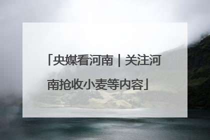 央媒看河南｜关注河南抢收小麦等内容