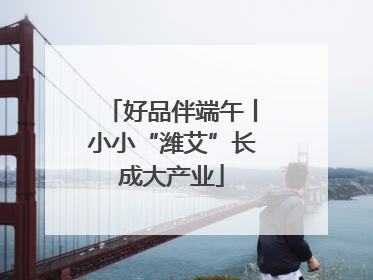 好品伴端午丨小小“潍艾”长成大产业