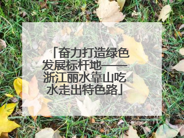 奋力打造绿色发展标杆地——浙江丽水靠山吃水走出特色路