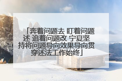 奔着问题去 盯着问题述 追着问题改 宁夏坚持将问题导向效果导向贯穿述法工作始终