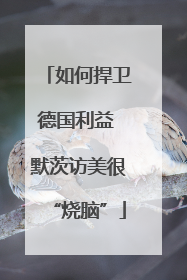 如何捍卫德国利益 默茨访美很“烧脑”