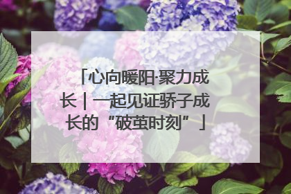 心向暖阳·聚力成长｜一起见证骄子成长的“破茧时刻”