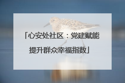 心安处社区：党建赋能 提升群众幸福指数
