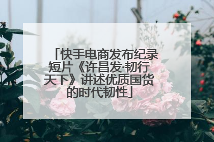 快手电商发布纪录短片《许昌发·韧行天下》讲述优质国货的时代韧性