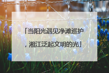当阳光遇见净滩巡护，湘江泛起文明的光