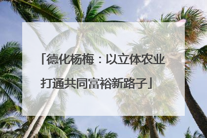 德化杨梅：以立体农业打通共同富裕新路子
