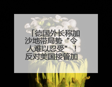 德国外长称加沙地带局势“令人难以忍受”！反对美国接管加沙地带的想法