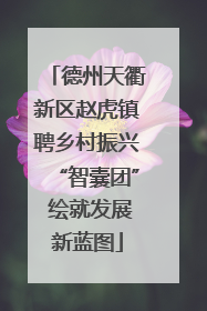 德州天衢新区赵虎镇聘乡村振兴“智囊团” 绘就发展新蓝图
