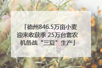 德州846.5万亩小麦迎来收获季 25万台套农机备战“三夏”生产