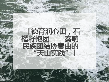 德育润心田，石榴籽抱团——奏响民族团结协奏曲的“天山实践”