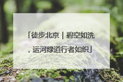 徒步北京｜碧空如洗，运河绿道行者如织