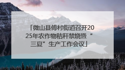 微山县傅村街道召开2025年农作物秸秆禁烧暨“三夏”生产工作会议
