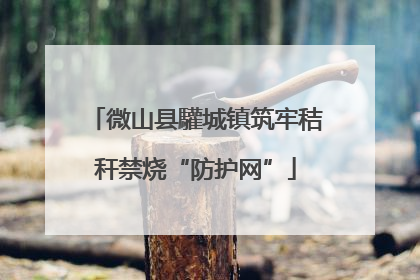 微山县驩城镇筑牢秸秆禁烧“防护网”