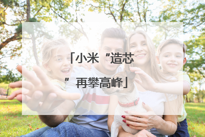 小米“造芯”再攀高峰