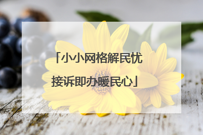 小小网格解民忧 接诉即办暖民心