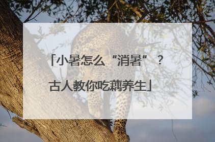 小暑怎么“消暑”？古人教你吃藕养生