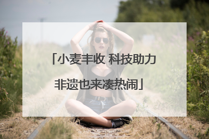小麦丰收 科技助力 非遗也来凑热闹