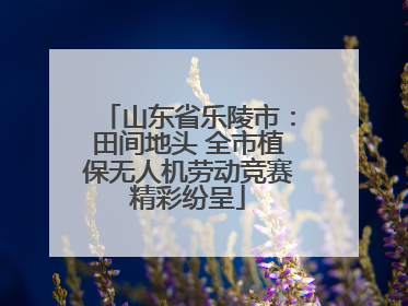 山东省乐陵市：田间地头 全市植保无人机劳动竞赛精彩纷呈