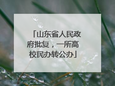 山东省人民政府批复，一所高校民办转公办