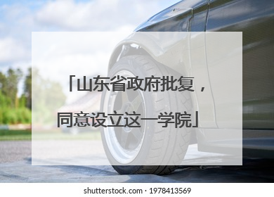 山东省政府批复，同意设立这一学院