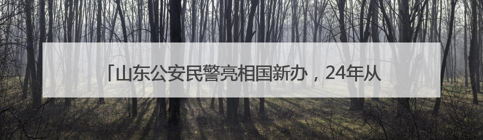 山东公安民警亮相国新办，24年从警生涯陈强用警徽照亮国际维和路