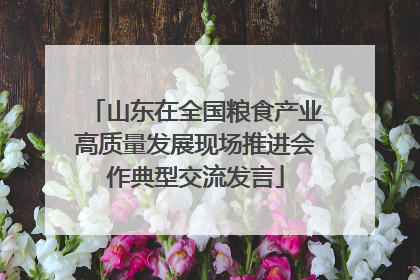 山东在全国粮食产业高质量发展现场推进会作典型交流发言