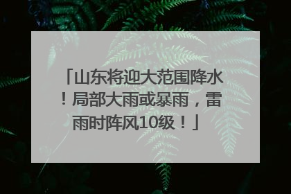 山东将迎大范围降水！局部大雨或暴雨，雷雨时阵风10级！