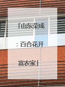 山东荣成：百合花开富农家