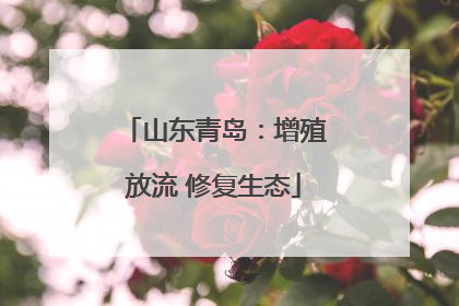 山东青岛：增殖放流 修复生态