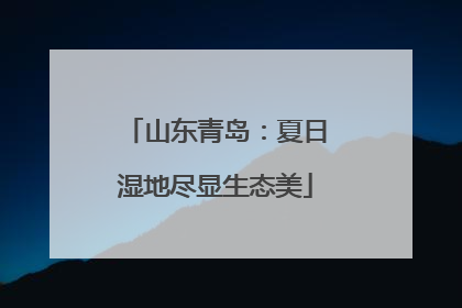 山东青岛：夏日湿地尽显生态美
