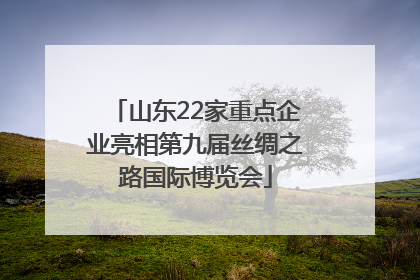 山东22家重点企业亮相第九届丝绸之路国际博览会