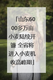 山东6000多万亩小麦陆续开镰 全省将进入小麦机收高峰期