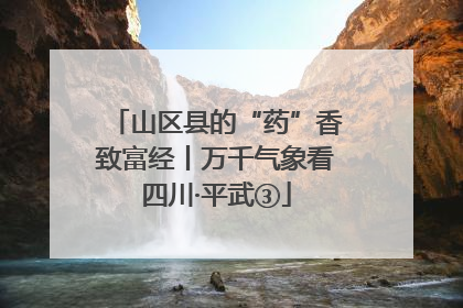 山区县的“药”香致富经丨万千气象看四川·平武③