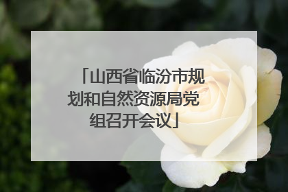 山西省临汾市规划和自然资源局党组召开会议