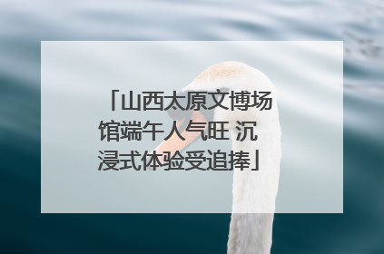 山西太原文博场馆端午人气旺 沉浸式体验受追捧