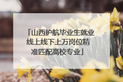 山西护航毕业生就业 线上线下上万岗位精准匹配高校专业