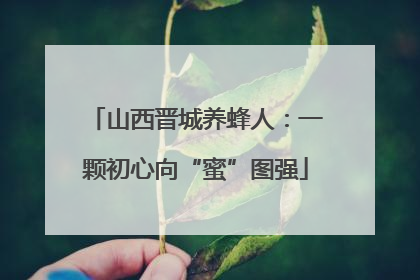 山西晋城养蜂人：一颗初心向“蜜”图强