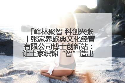 峰林聚智 科创兴张丨张家界旅典文化经营有限公司博士创新站：让土家织锦“智”造出非遗新传奇
